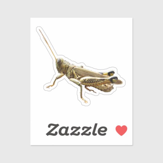 Sprinkhaan Sticker (Vel)