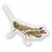 Sprinkhaan Sticker (Voorkant)