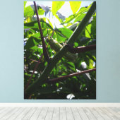 Sprinkhaan Verborgen in het Oog Springend Close-Up Canvas Afdruk (Insitu (Houten vloer))