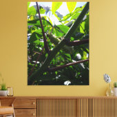 Sprinkhaan Verborgen in het Oog Springend Close-Up Canvas Afdruk (Insitu (Woonkamer))