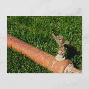 Sprinkler Briefkaart