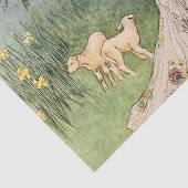 sprinses en schapenvlees tissuepapier (Detail)