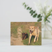 Sprint Fun Labrador en Dachhund Briefkaart (Staand voorkant)
