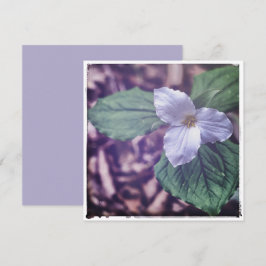 Sprint Trillium Autochrome Stijl Notitiekaartje