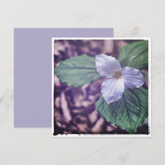 Sprint Trillium Autochrome Stijl Notitiekaartje