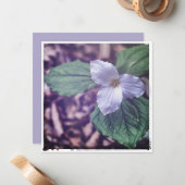 Sprint Trillium Autochrome Style Notitiekaartje (Voorkant / Achterkant in situ)