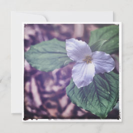 Sprint Trillium Autochrome Style Notitiekaartje