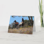 Sprite- en lentesholiday-kaart bedankkaart (Voorkant)