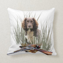 Sprocker Spaniel