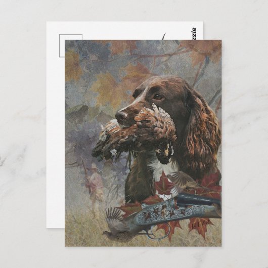 Sprocker Spaniel, Pistool hondenkunst Briefkaart (Voorkant / Achterkant)