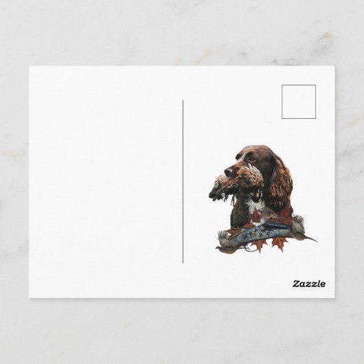 Sprocker Spaniel, Pistool hondenkunst Briefkaart (Achterkant)