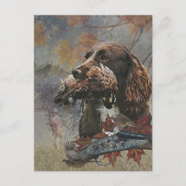 Sprocker Spaniel, Pistool hondenkunst Briefkaart