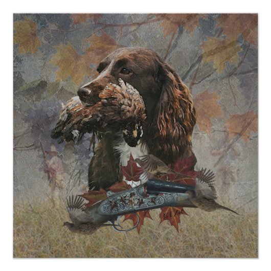 Sprocker Spaniel, Pistool hondenkunst Perfect Poster (Voorkant)