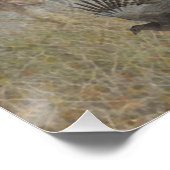 Sprocker Spaniel, Pistool hondenkunst Perfect Poster (Hoek)