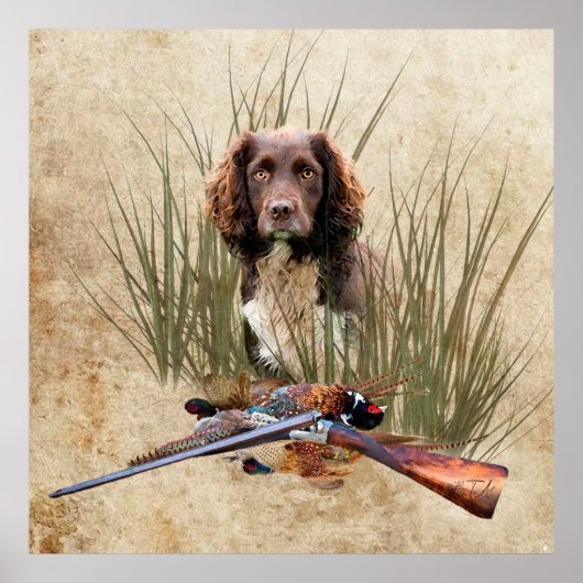 Sprocker Spaniel Tapestry Poster Triptych Acryl (Voorkant)