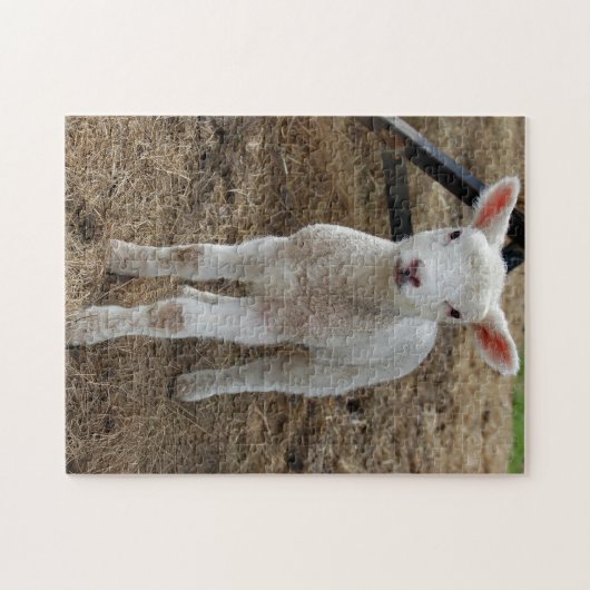 Sproeilammeren Legpuzzel (Horizontaal)