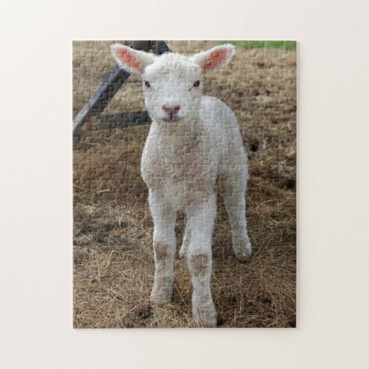 Sproeilammeren Legpuzzel (Verticaal)