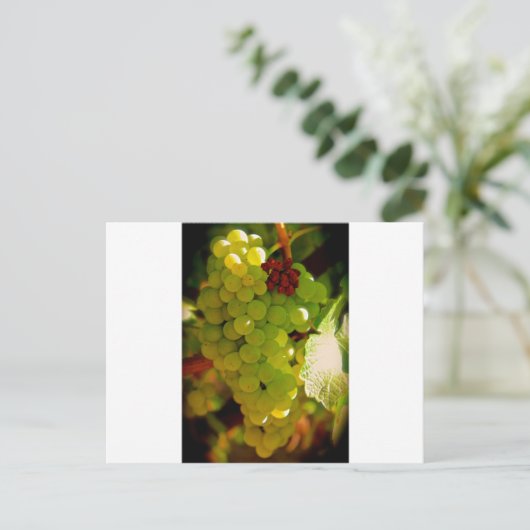 Sproeten Briefkaart (Staand voorkant)