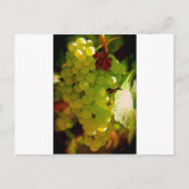 Sproeten Briefkaart (Voorkant)