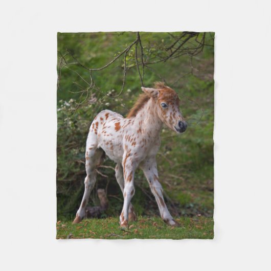 Sproeten fleece deken (Voorkant)