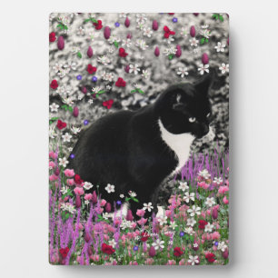 Sproeten in bloemen II - Tuxedo Kitty Cat Fotoplaat