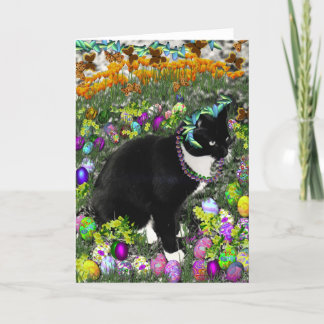 Sproeten in de Jacht voor Gekleurde Paaseieren Feestdagen Kaart