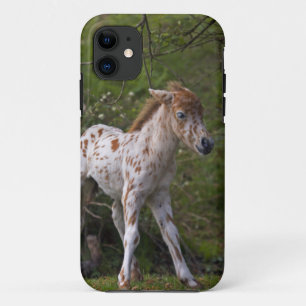 Sproeten iPhone 5 Hoesje