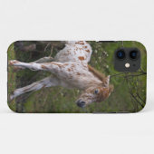 Sproeten iPhone 5 Hoesje (Achterkant (horizontaal))