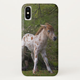 Sproeten iPhone X Hoesje