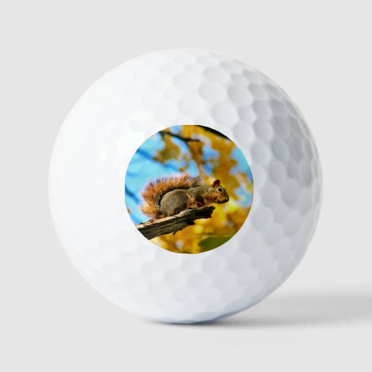 Sprong Golfballen (Voorkant)