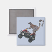 Sprong Lemur Magnet (Voorkant / Achterkant)