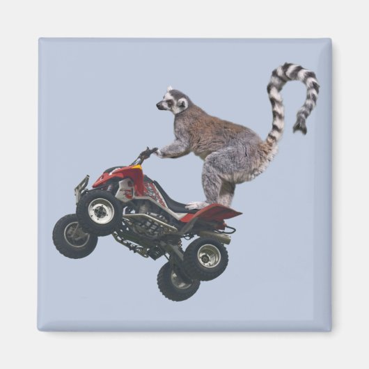 Sprong Lemur Magnet (Voorkant)