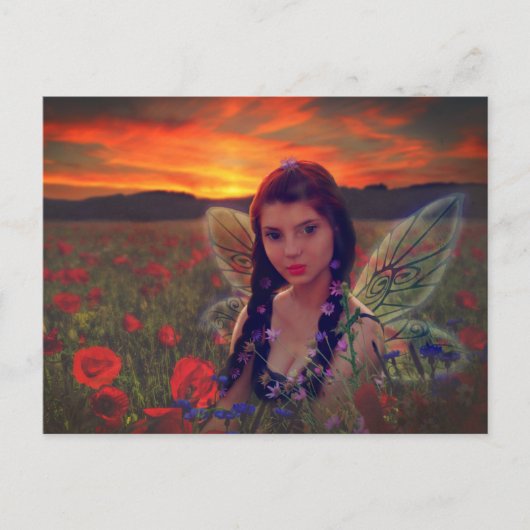 Sprookje bij zonsondergang in een veld van klaproz briefkaart (Voorkant)
