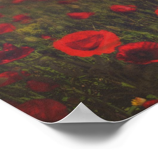 Sprookje bij zonsondergang in een veld van klaproz poster (Hoek)