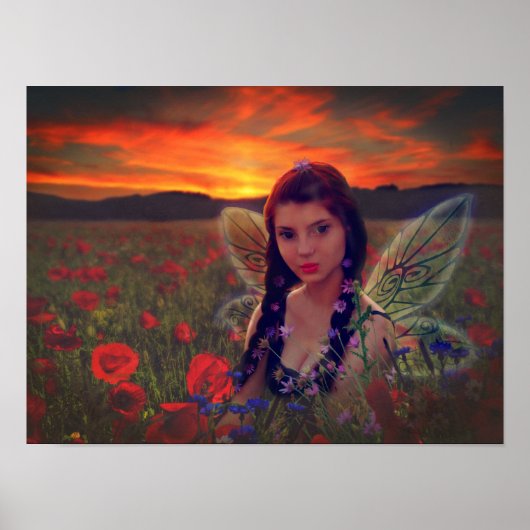 Sprookje bij zonsondergang in een veld van klaproz poster (Voorkant)