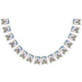 Sprookje Kasteel Party Vlaggetjes (Alle)