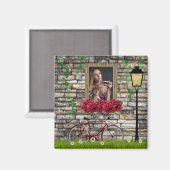  sprookje Rozen Meisjes Foto Lijst Magneet (Voorkant / Achterkant)