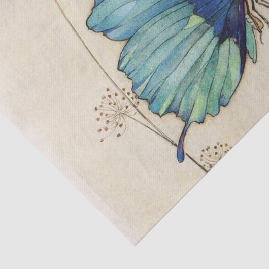 sprookje vlinder — ontkoppeling tissuepapier (Detail)