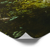 Sprookjes in een magisch bos poster (Hoek)