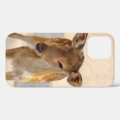 Sprookjesachtige Bosherten Fotografie Case-Mate iPhone Case (Achterkant (horizontaal))
