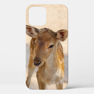 Sprookjesachtige Bosherten Fotografie Case-Mate iPhone Case