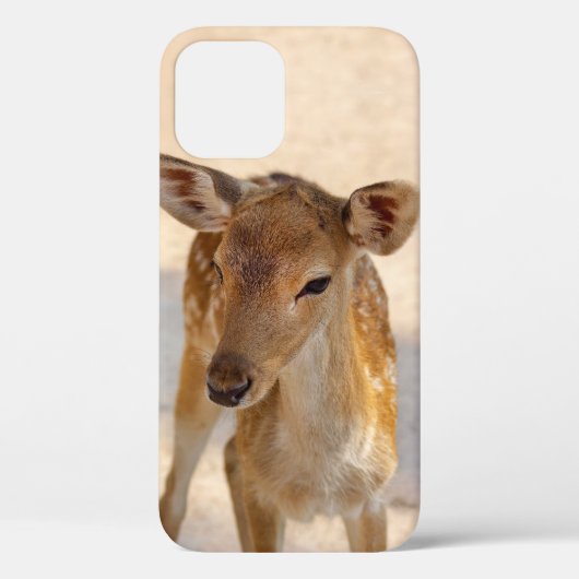 Sprookjesachtige Bosherten Fotografie Case-Mate iPhone Case (Achterkant)