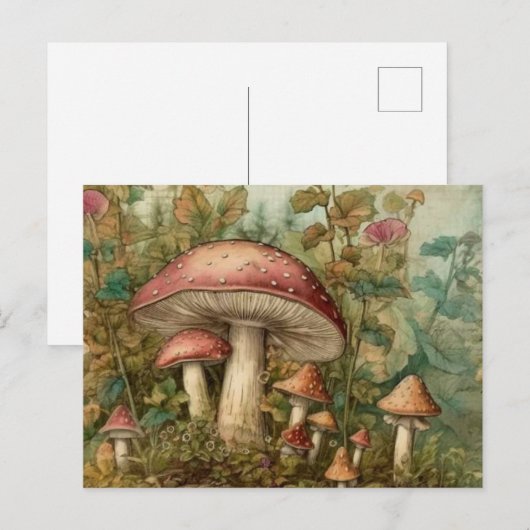 Sprookjesachtige paddenstoelen briefkaart (Voorkant / Achterkant)