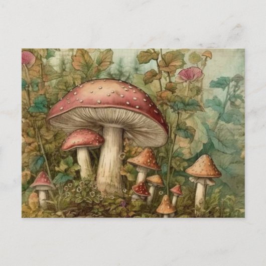Sprookjesachtige paddenstoelen briefkaart (Voorkant)