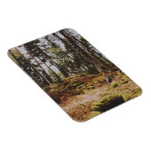 Sprookjesbos in de Zweedse archipel Magneet (Rechterzijde)