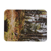 Sprookjesbos in de Zweedse archipel Magneet (Horizontaal)