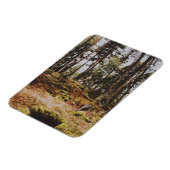 Sprookjesbos in de Zweedse archipel Magneet (Linkerzijde)