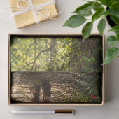 Sprookjesdromen In Rood Inpakpapier Decoupage Papi Tissuepapier (Geschenk)