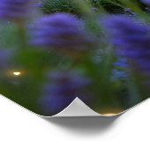 Sprookjeskasteel van het verborgen lavendelbos poster (Hoek)