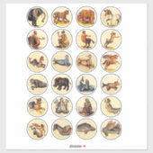 sprookjeskundelementen in de kunstcirkels sticker (Vel)